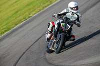 PJ-Motorsport-2019;anglesey-no-limits-trackday;anglesey-photographs;anglesey-trackday-photographs;enduro-digital-images;event-digital-images;eventdigitalimages;no-limits-trackdays;peter-wileman-photography;racing-digital-images;trac-mon;trackday-digital-images;trackday-photos;ty-croes